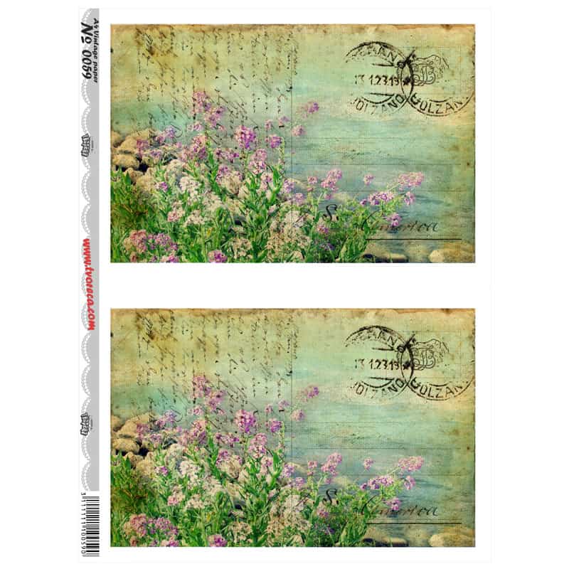 montaj-0059-800x800
